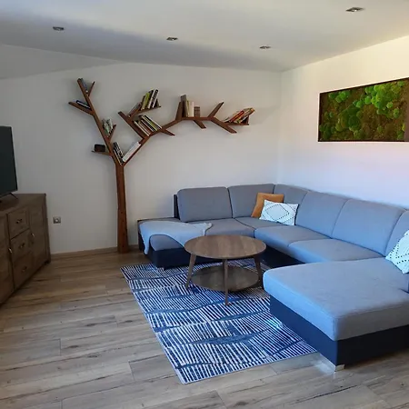 Family Eliza * 라젝크테플리스